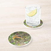 Dinosaur Spinosaurus Getränkeuntersetzer (Seite)