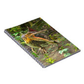 Dinosaur Spinosaurus Notizblock (Rechte Seite)