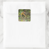 Dinosaur Spinosaurus Quadratischer Aufkleber (Tasche)