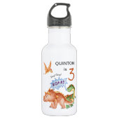 Dinosaur Stomp Chomp Rawr Edelstahlflasche (Vorderseite)