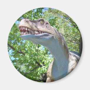 Dinosaur T-Rex Magnet