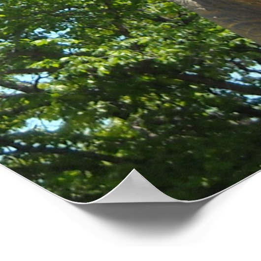 Dinosaur T-Rex Poster (Ecke)