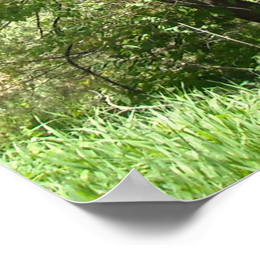 Dinosaur T-Rex Poster (Ecke)