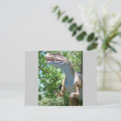 Dinosaur T-Rex Postkarte (Stehend Vorderseite)
