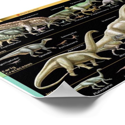 Dinosaur Timeline Biology Poster (Ecke)