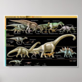 Dinosaur Timeline Biology Poster (Vorne)