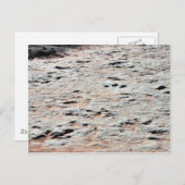 Dinosaur Tracks Postkarte (Vorne/Hinten)