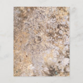 Dinosaur Tyrannosaurus T-Rex Kind Geburtstag Invit Flyer (Hinten)