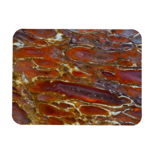 Dinosaur versteinerten Bone Magnet (Horizontal)