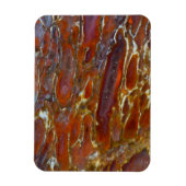 Dinosaur versteinerten Bone Magnet (Vertikal)