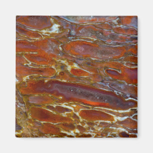 Dinosaur versteinerten Bone Magnet