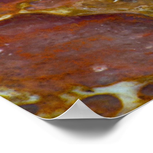 Dinosaur versteinerten Bone Poster (Ecke)