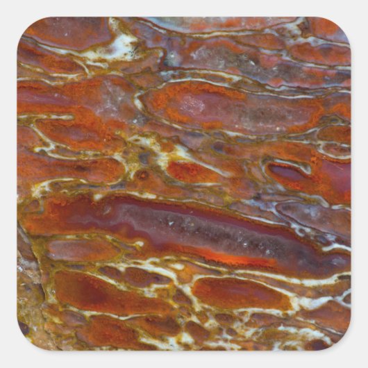 Dinosaur versteinerten Bone Quadratischer Aufkleber (Vorderseite)