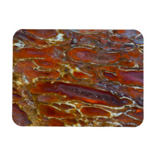 Dinosaur versteinertes Skelett Magnet