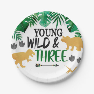 Dinosaur Young Wild Three Birthday Party Teller
