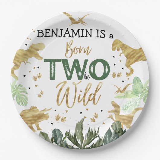 Dinosaurier 2. Geburtstags-Party Pappteller (Vorderseite)