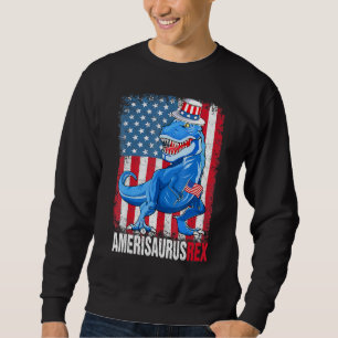 Dinosaurier 4. Juli Kinder Jungen Männer Amerisaur Sweatshirt