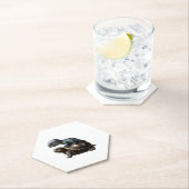 Dinosaurier auf Schildkrötenkopie Untersetzer (Vor Ort)