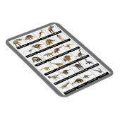 Dinosaurier Chart Magnet (Rechte Seite)