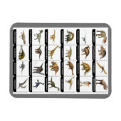 Dinosaurier Chart Magnet (Horizontal)