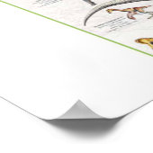 Dinosaurier-Diagramm Hintergrund Poster (Ecke)