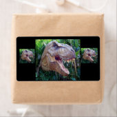 Dinosaurier-Etiketten für Kinder (Insitu)