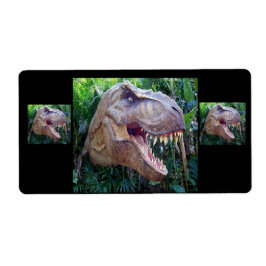 Dinosaurier-Etiketten für Kinder