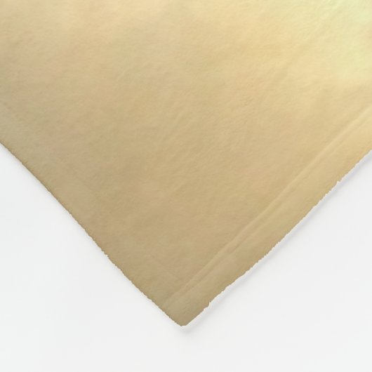 Dinosaurier Fleecedecke (Ecke)