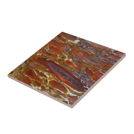 Dinosaurier Fliese (Seite)