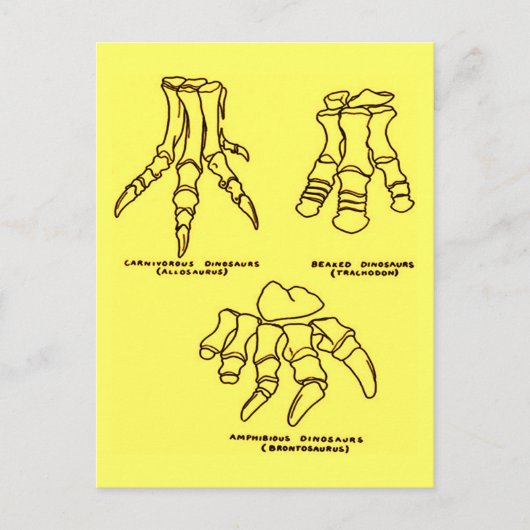 Dinosaurier Foot Bones Postkarte (Vorderseite)