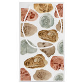 Dinosaurier Fossil Kind Geburtstagsgeschenk Tasche Kleine Geschenktüte (Rückseite)