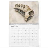 Dinosaurier-Fossilien – Prähistorisches Fossil Kalender (Mär 2027)