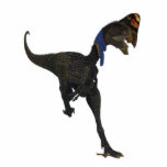 Dinosaurier-Foto-Skulptur Oviraptor Gregory Paul Freistehende Fotoskulptur<br><div class="desc">Oviraptor,  ein seltsamer Dinosaurier von Mongolei.</div>