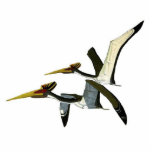 Dinosaurier-Foto-Skulptur Pterosaurs Gregory Paul Freistehende Fotoskulptur<br><div class="desc">Diese Fotoskulptur ist vom gemalten Quetzalcoaltus durch Gregory S. Paul. An zweiter Stelle in der kreidigen Anordnung.</div>