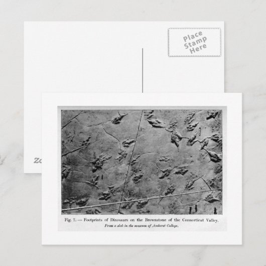 Dinosaurier Fußabdrücke Kunst Postkarte (Vorne/Hinten)