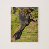 Dinosaurier im Gras-Jigsaw-Puzzle für Kinder Puzzle (Vertikal)