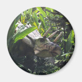 Dinosaurier in freier Wildbahn Magnet (Vorne)