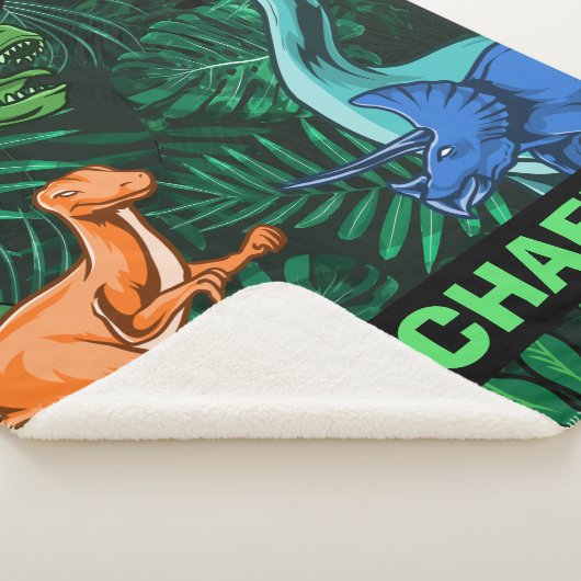 Dinosaurier Kinder Dino Jurassic Trex Boy Sherpadecke (3/4)