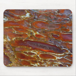 Dinosaurier Mousepad