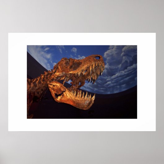 Dinosaurier Poster (Vorne)