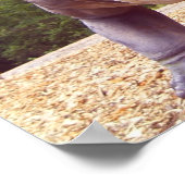 Dinosaurier Poster (Ecke)