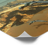 Dinosaurier Poster (Ecke)