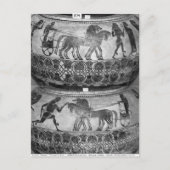 Dinosaurier Postkarte (Vorderseite)