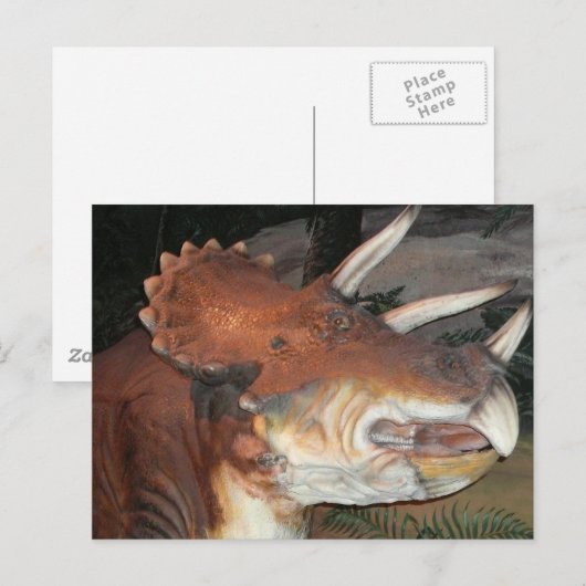 Dinosaurier-Postkarte Postkarte (Vorne/Hinten)