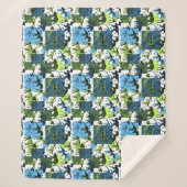 Dinosaurier! Sherpadecke (Vorderseite)