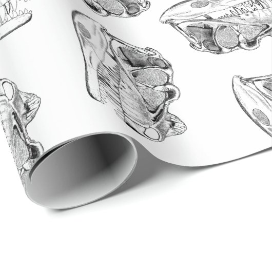 Dinosaurier Skulls Muster CUSTOM HINTERGRUNDFARBE Geschenkpapier (Rolleneckpunkt)
