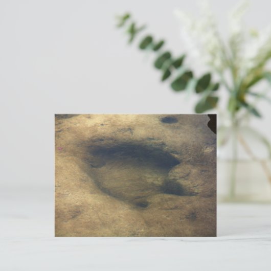 Dinosaurier-Tracks im Dinosaurtal 5 Postkarte (Stehend Vorderseite)