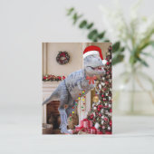 Dinosaurier Weihnachts Postcard Postkarte (Stehend Vorderseite)