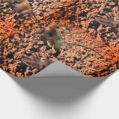 Dinosaurier Wrapping Paper Geschenkpapier (Ecke)