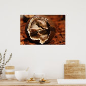 Dinosaurierei mit Embryo Poster (Küche)